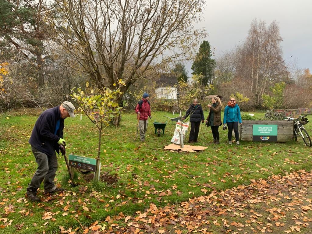 Orchard Tidy Up Day 