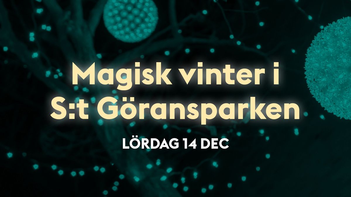 Magisk vinter i S:t G\u00f6ransparken! 