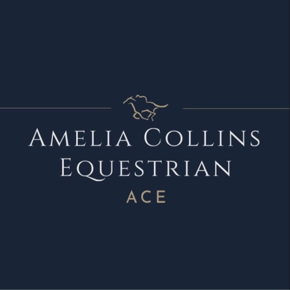 Foundations First - Building Strong Basics in Flatwork and Polework with Amelia Collins 