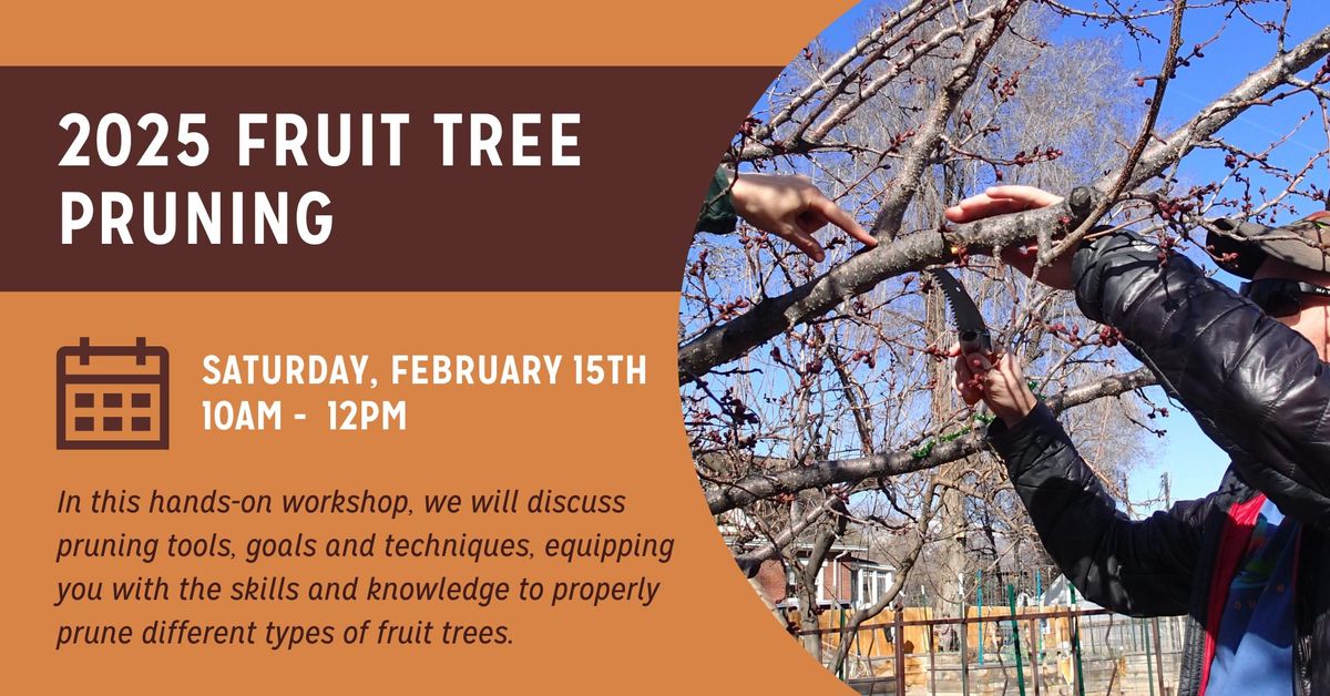 2025 Fruit Tree Pruning