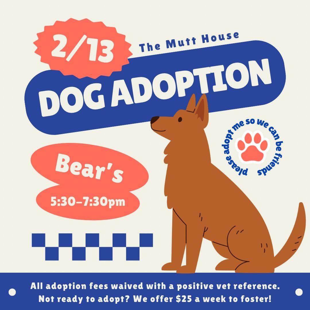 The Mutt House Dog Adoption Party!