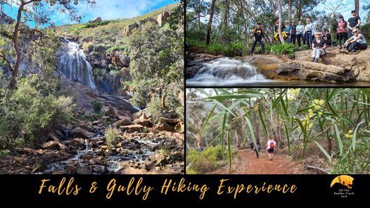Falls & Gully Hiking Experience