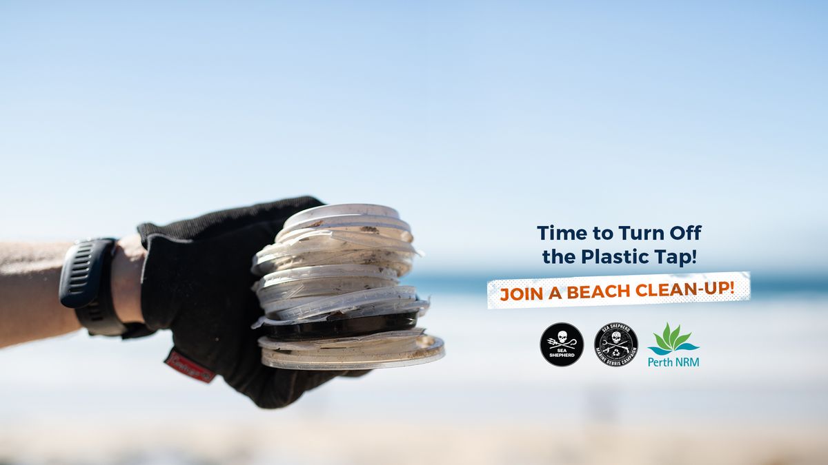 Perth, WA: Brighton Beach clean-up: Perth NRM & Marine Debris Campaign 