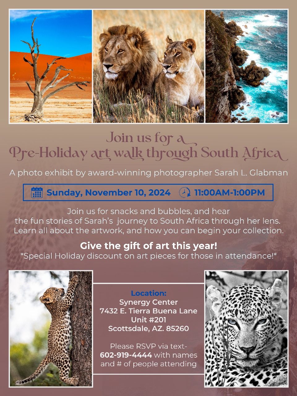 A Pre-Holiday art walk through South Africa!