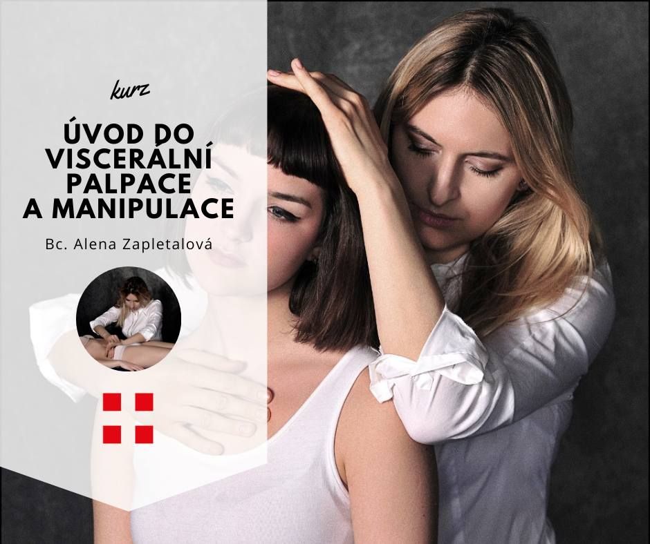 \u00davod do viscer\u00e1ln\u00ed palpace a manipulace