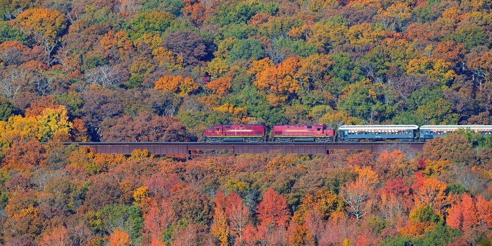 Fall Foliage Train Ride + Hike