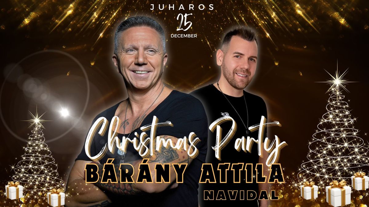 12I25 B\u00c1R\u00c1NY ATTILA \u2716\ufe0fChristmas Party\u2716\ufe0fJuharos