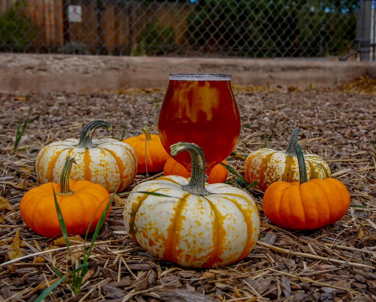 Beer (re)Release: Pumpkin Patch Punch