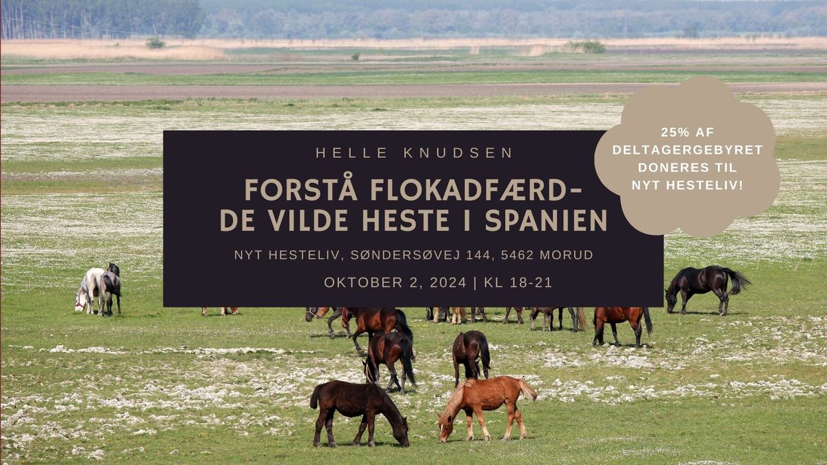 Forst\u00e5 Flokadf\u00e6rd 1 - De vilde heste i spanien - Nyt Hesteliv