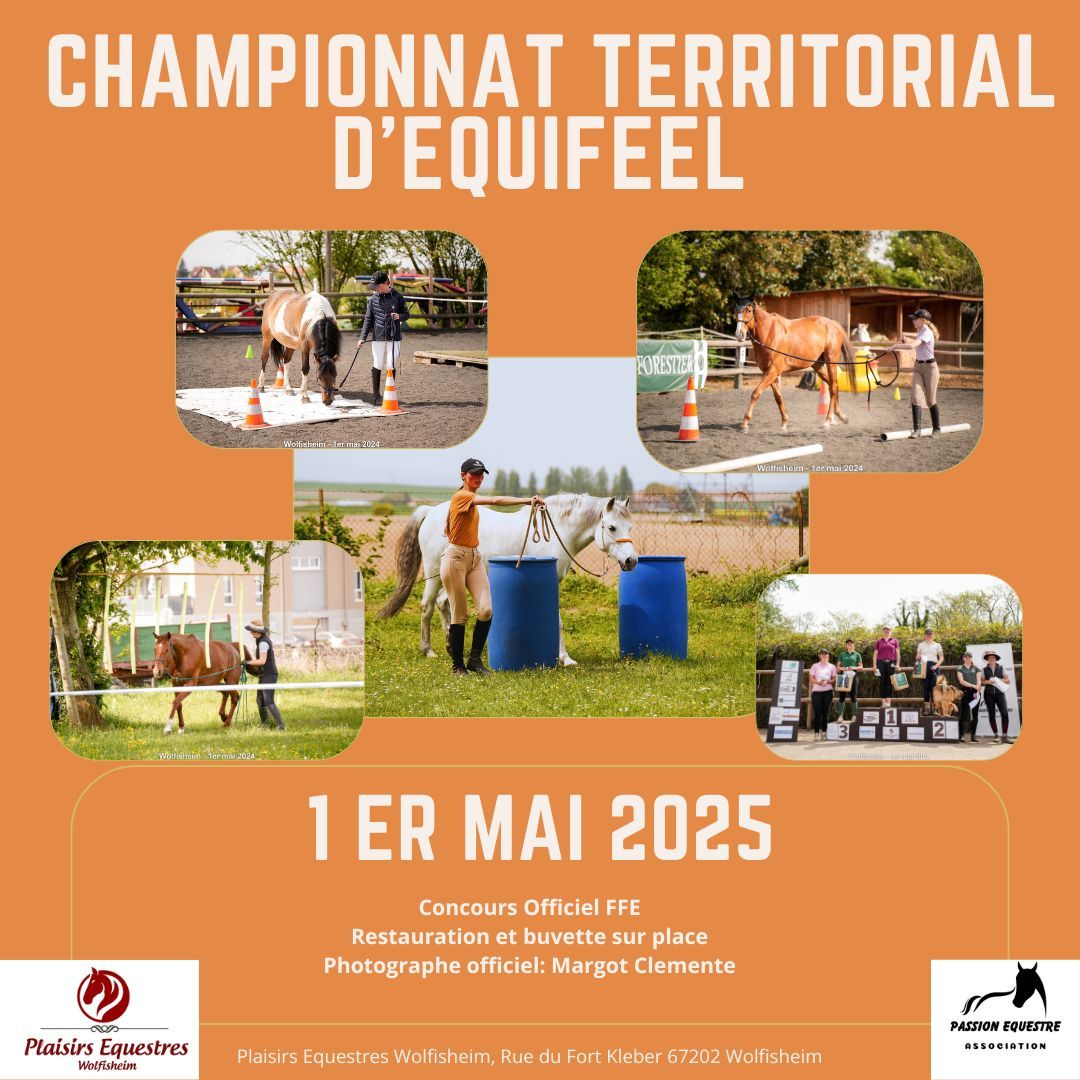 Championnat Territorial d'Equifeel