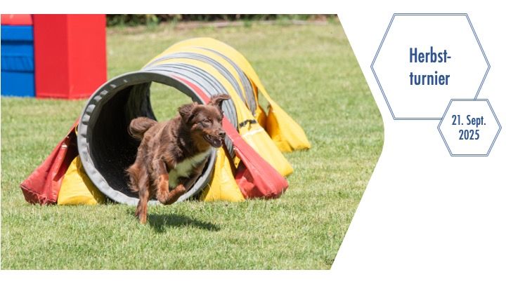 Agility Herbstturnier