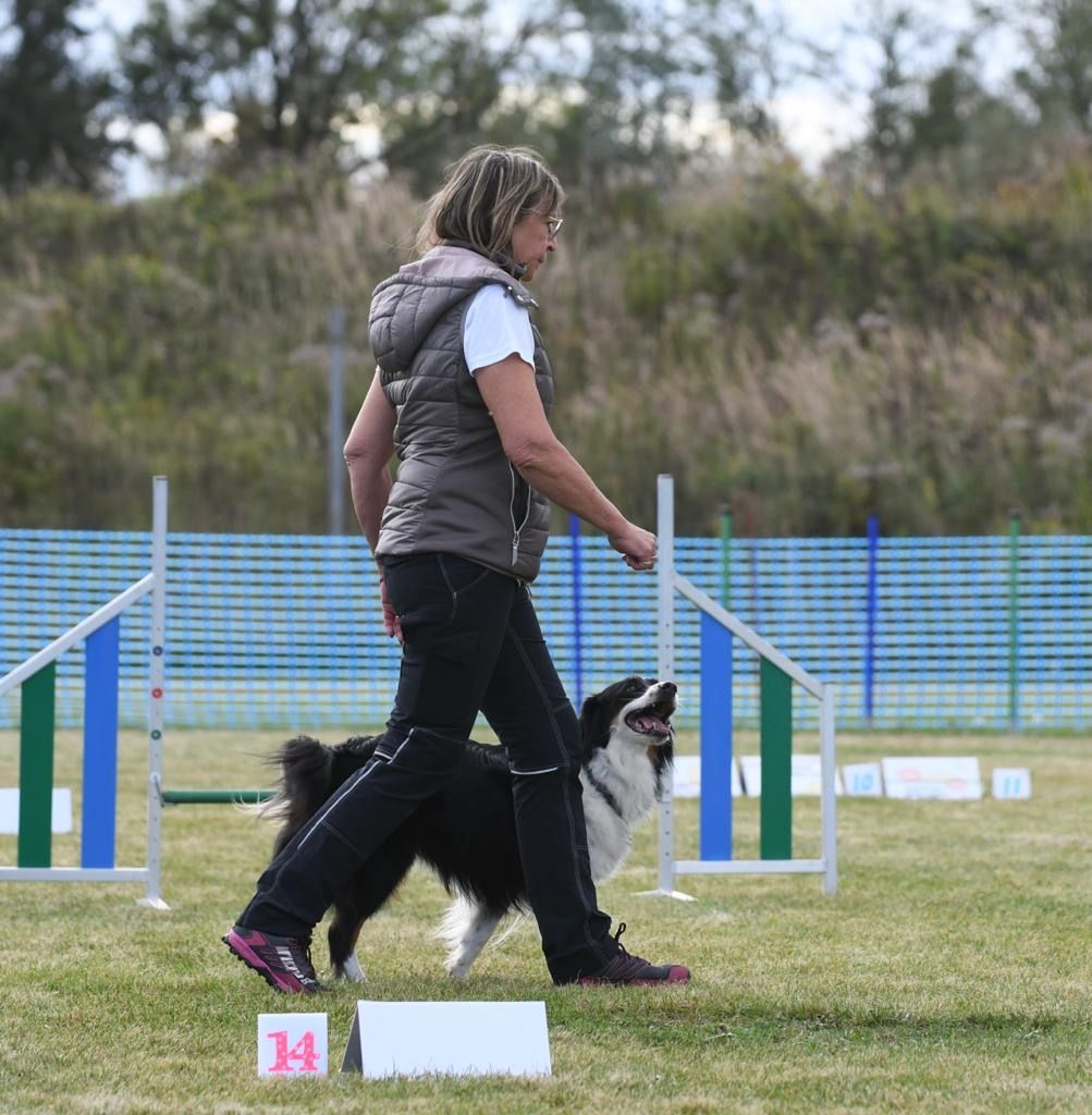 RallyObedience-Fr\u00fchling der Inntaler Hundesportfreunde Ering e.V.