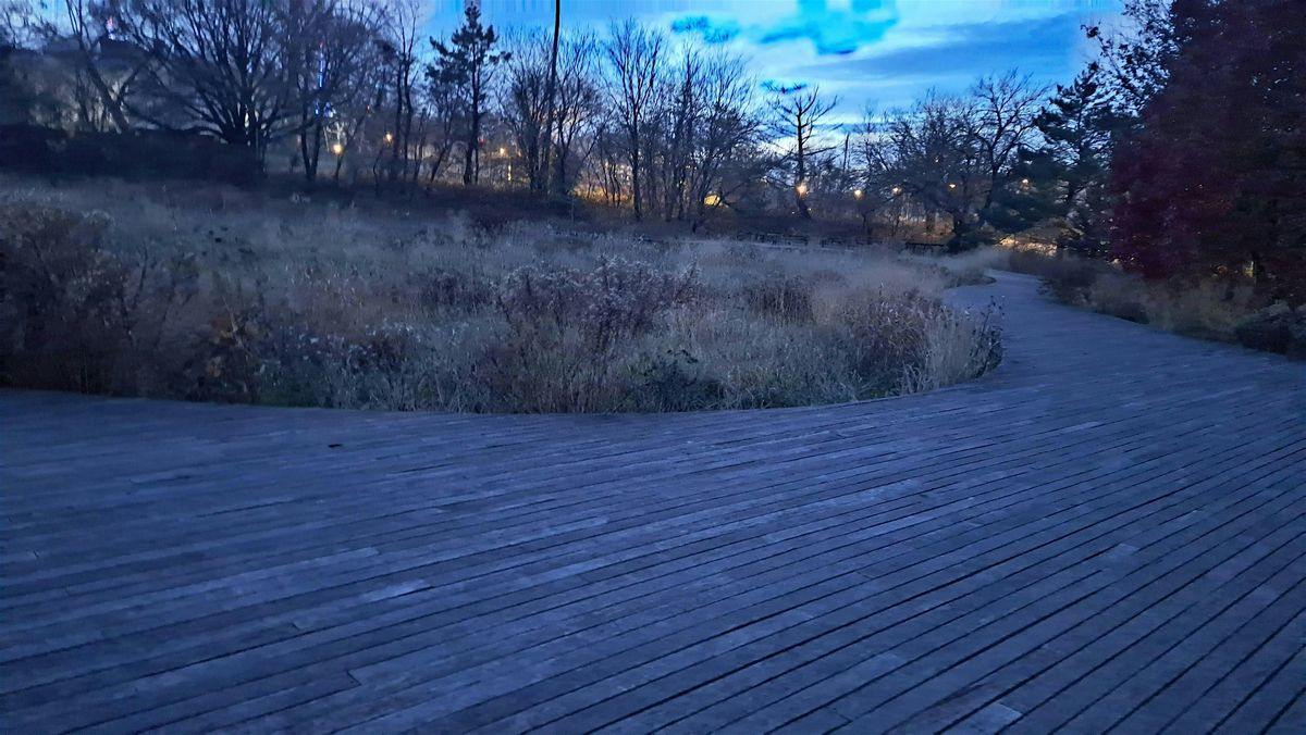 Solstice Tree Walk: Trees of the NCL