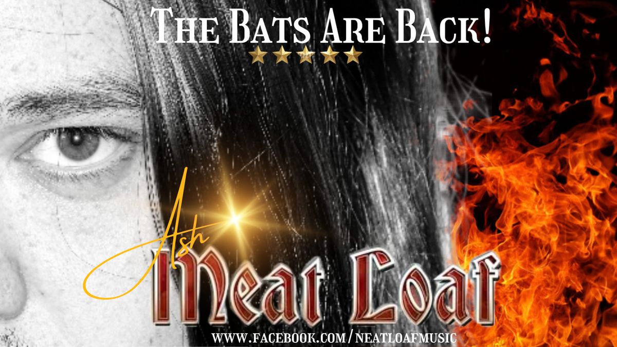 Ashley Barratt's The Bats Are Back 