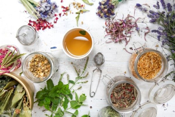The Art of Blending Herbal Teas