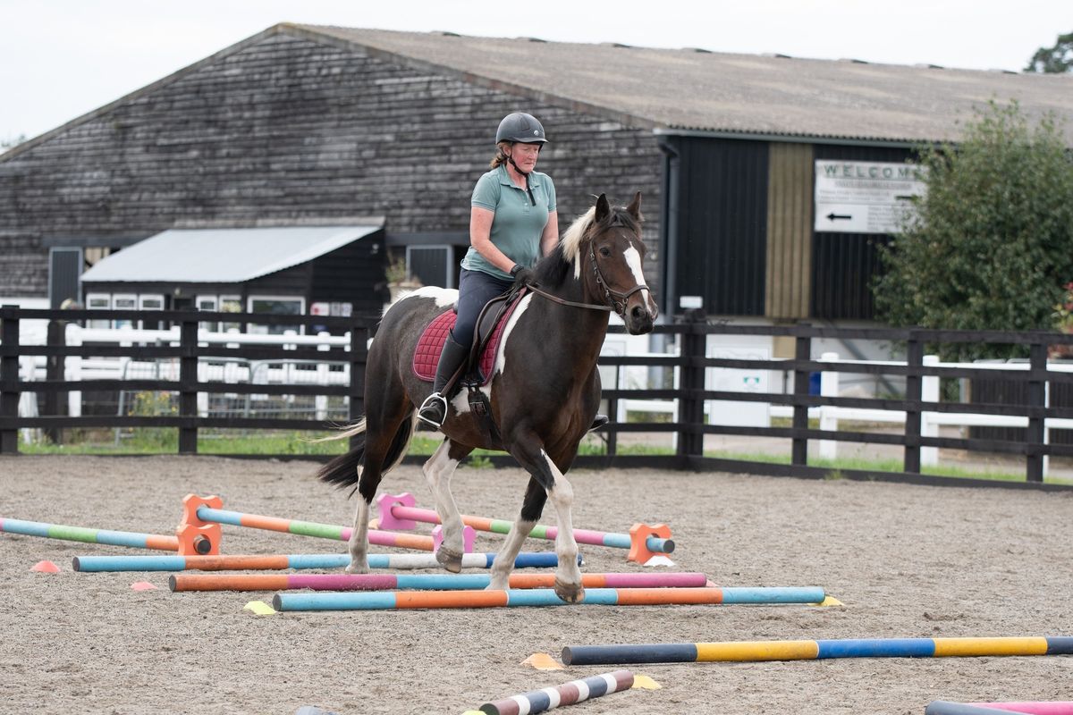 Polework Clinic at Widmer Equestrian 