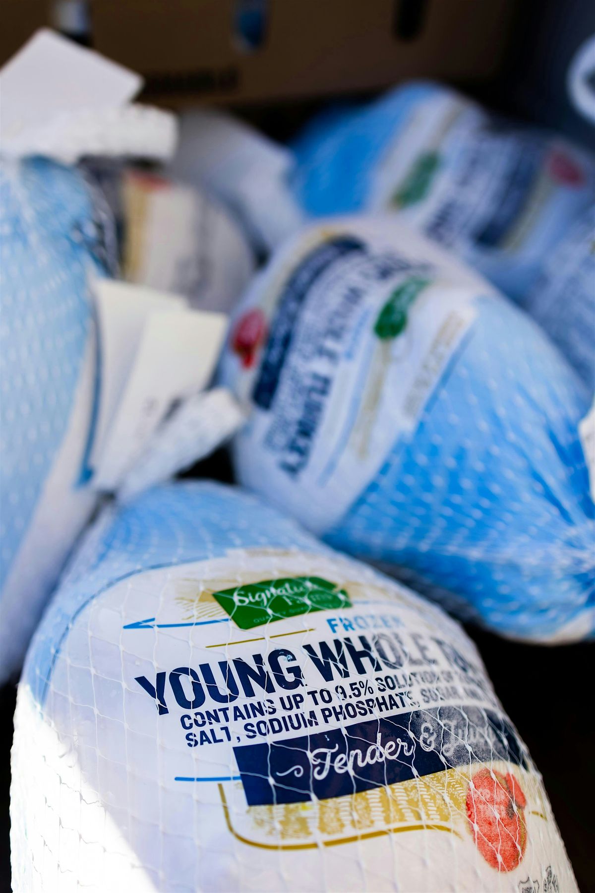 The Black Neighborhood 10th Annual Turkey Drive 2025!