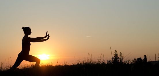 Tai Chi - Meditation in Motion