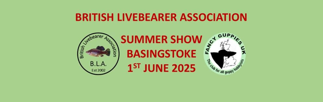 BLA Summer Show -Basingstoke 2025