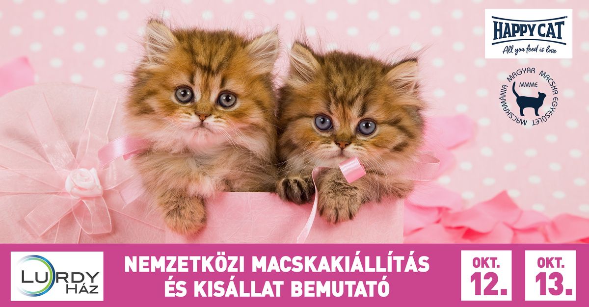 HAPPY CAT Nemzetk\u00f6zi Macskaki\u00e1ll\u00edt\u00e1s - LURDY H\u00c1Z