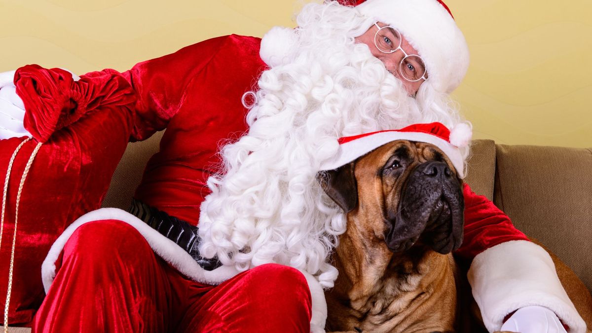 Pet Pictures with Santa in support of NARA