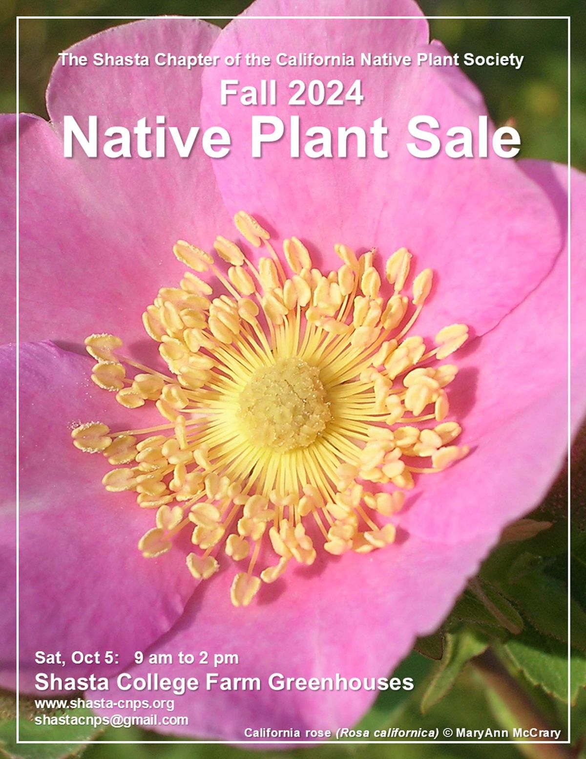 Fall Native Plant Sale 