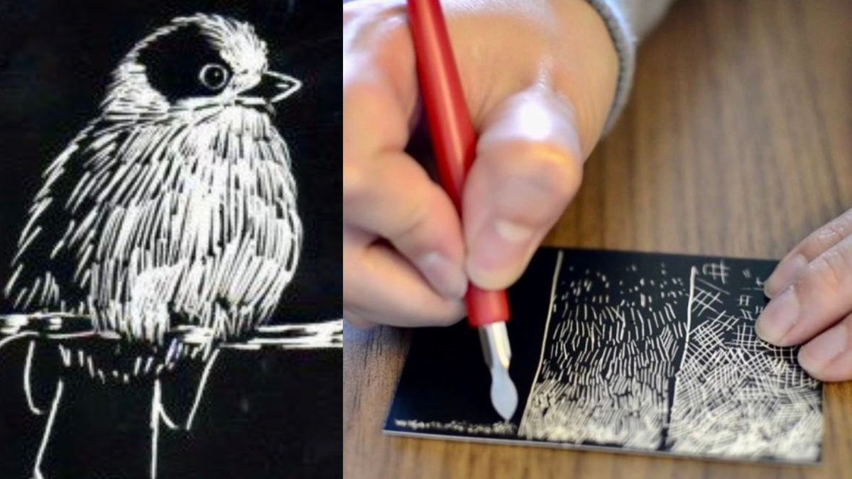 Art to You with Larry Frates: Art Technique: Scratchboard of Nature Drawing