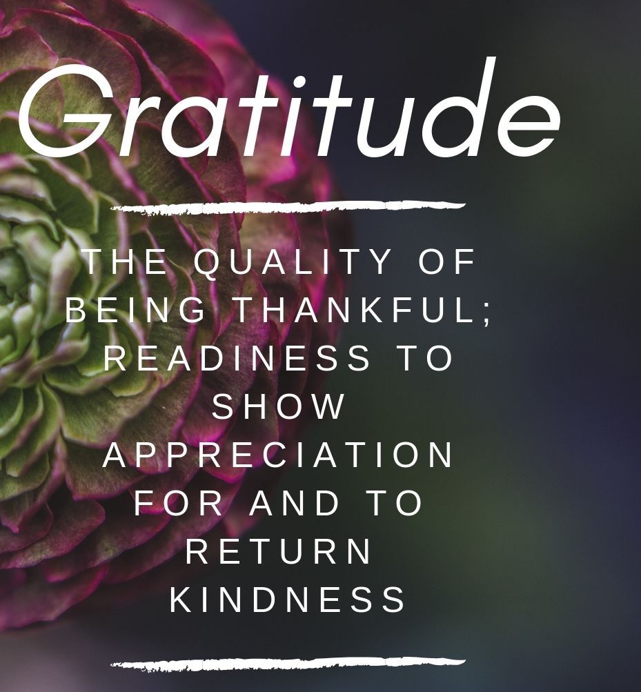 Gratitude 