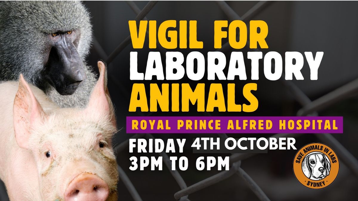 RPAH, Vigil for Primate & other Laboratory Animals