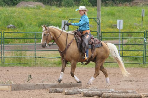 Cen-Tex Saddle Club Ranch Horse Series