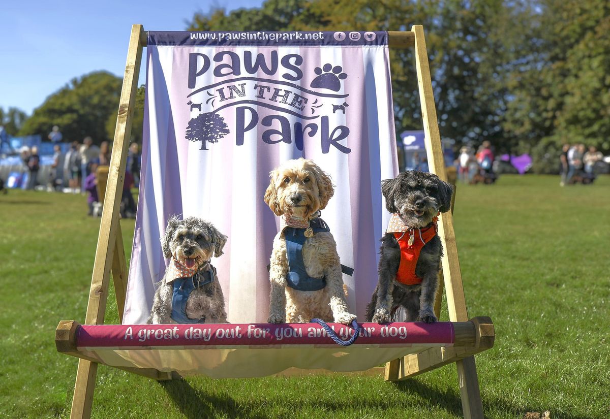 Paws in the Park Kent Show