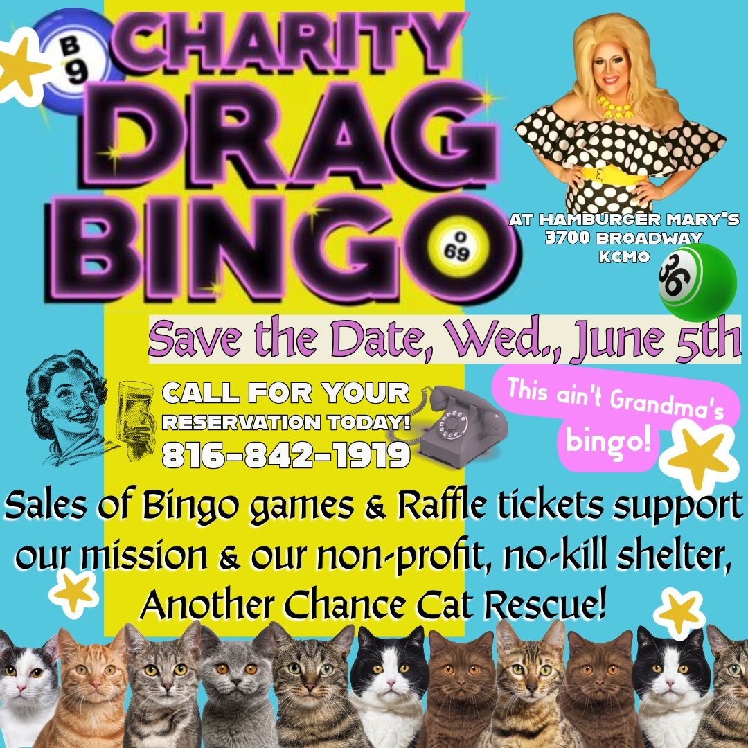 Charity BINGO to support Another Chance Cat Rescue