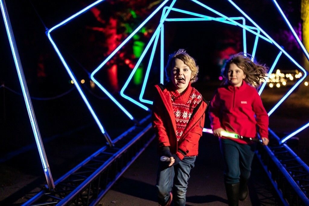 Luminate Coombe Winter Light Trail 2024