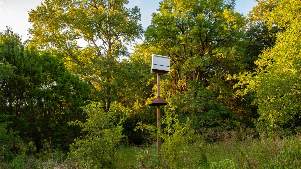 Hike at Great Hills Park