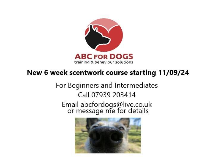 Dog Scentwork Course