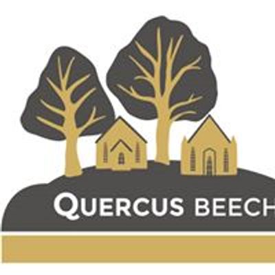 Quercus Beechworth