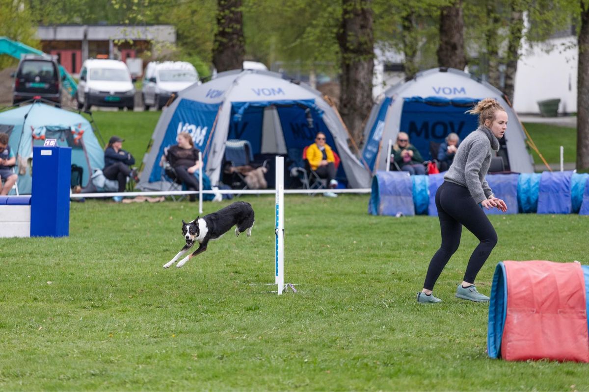 Agility trening med Marina 