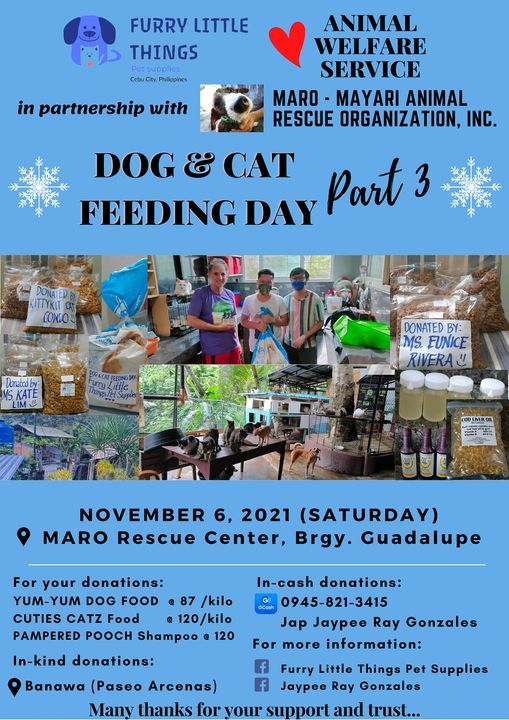 DOG AND CAT FEEDING DAY Part 3