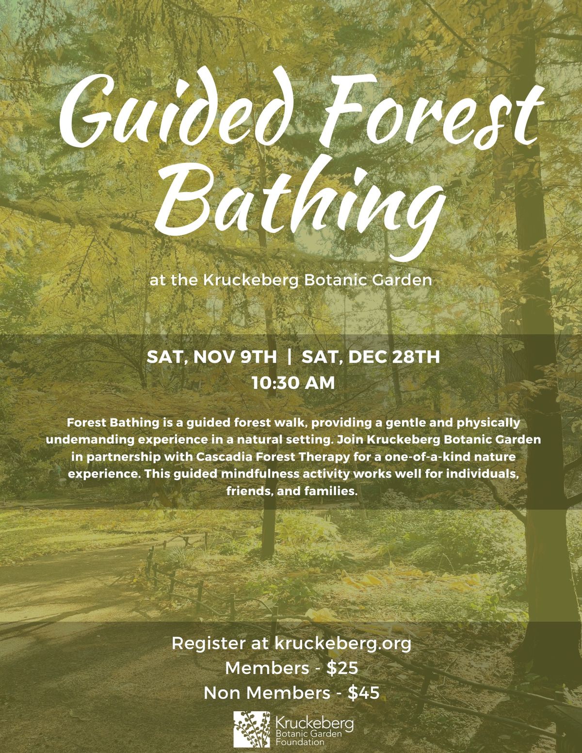 Guided Forest Bathing