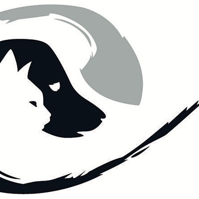 Veterinary Eye Institute