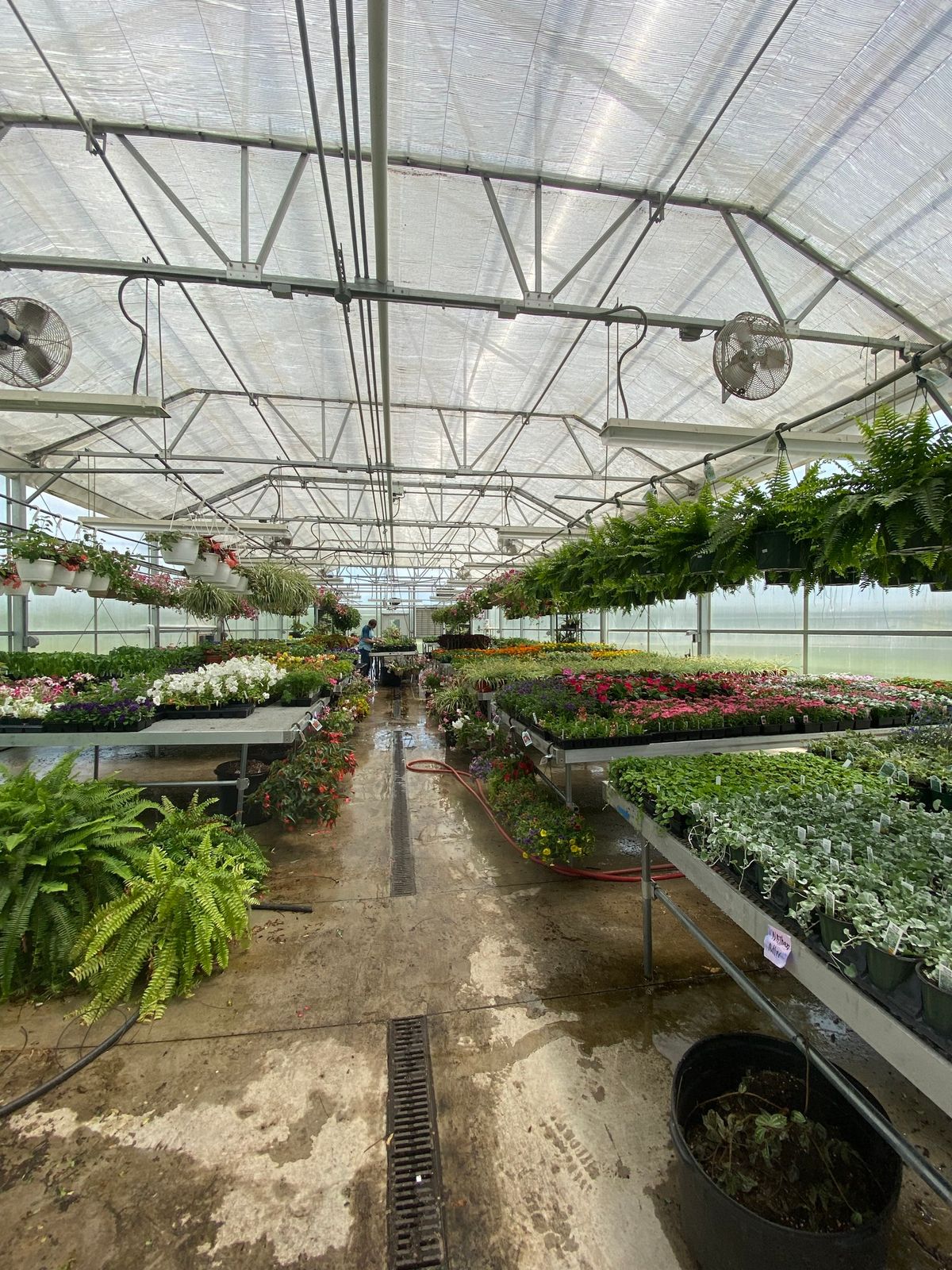 CCST Spring Plant Sale