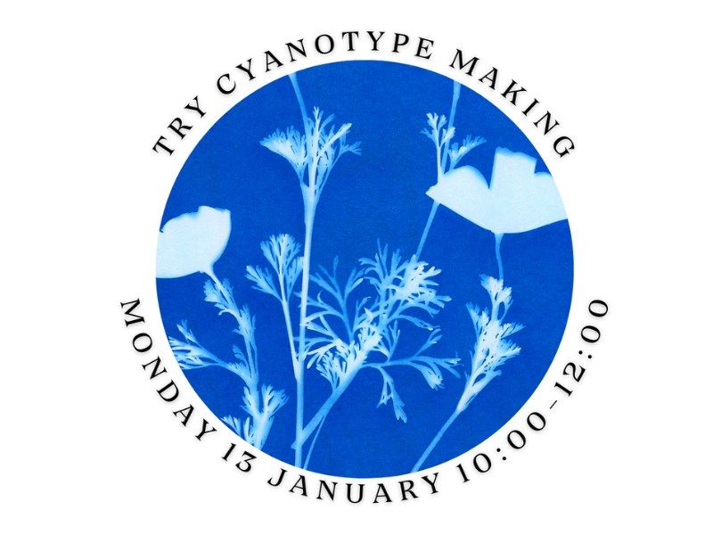 Learn How to Make a Cyanotype Image 