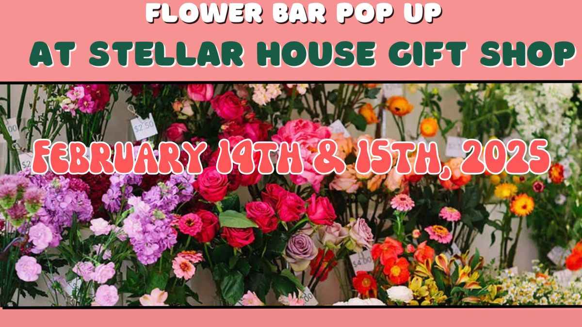 Build your own bouquet POP UP at Stellar House