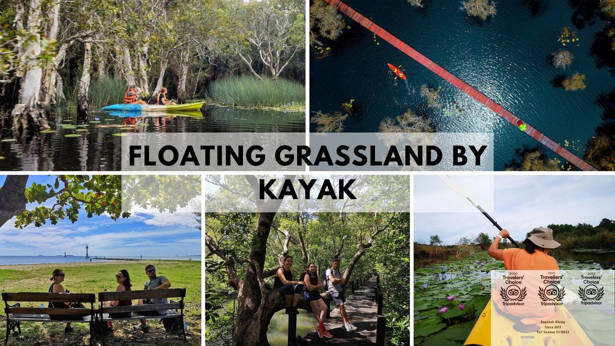 Floating grassland by kayak