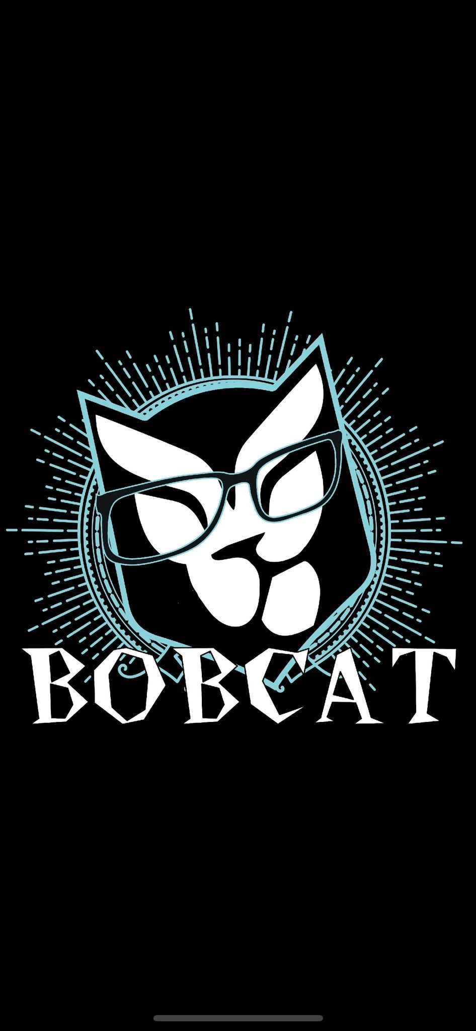 Bob Cat one man band 