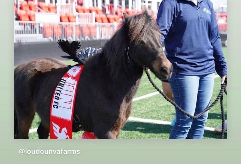 Loudoun United, FC Mascot Winger Appearance 