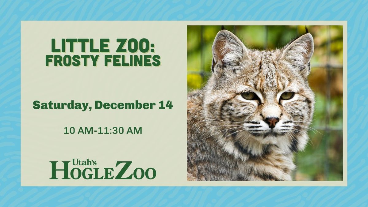 Little Zoo: Frosty Felines