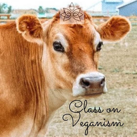 Class on Veganism