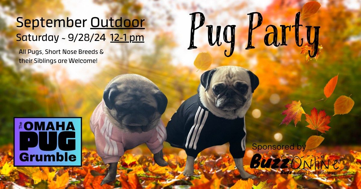 September Pug Party