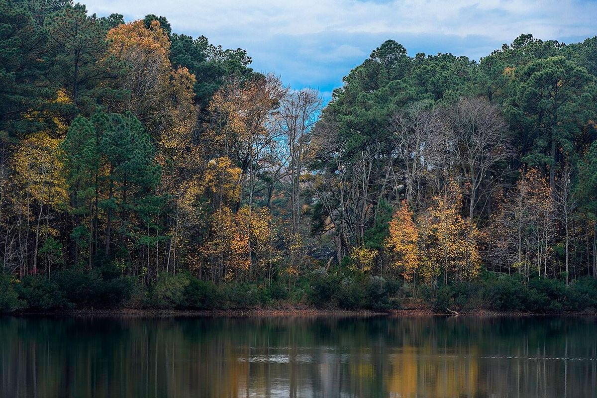 Hoffler Creek Wildlife Preserve & Lake Ballard Loop